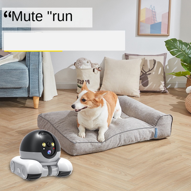 كاميرا واي فاي جديدة بدقة 1080 - مراجعة Home Security Robot وسعره